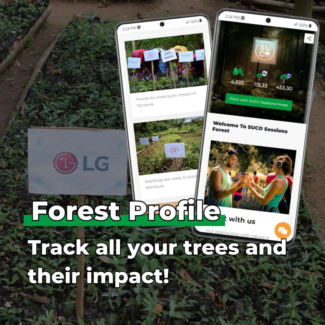 ForestNation Happy Halloween Night Tree Gift
