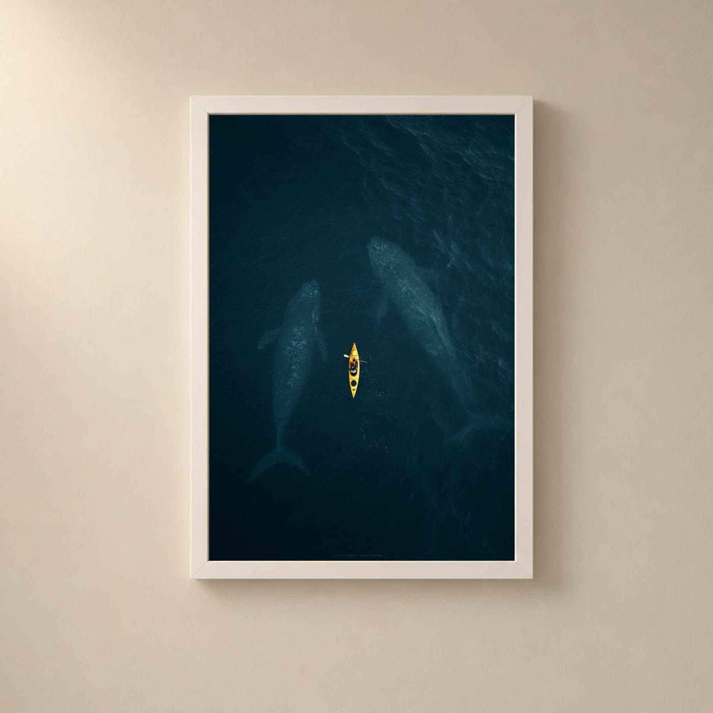Whales and Kayak Aerial Ocean Art Print