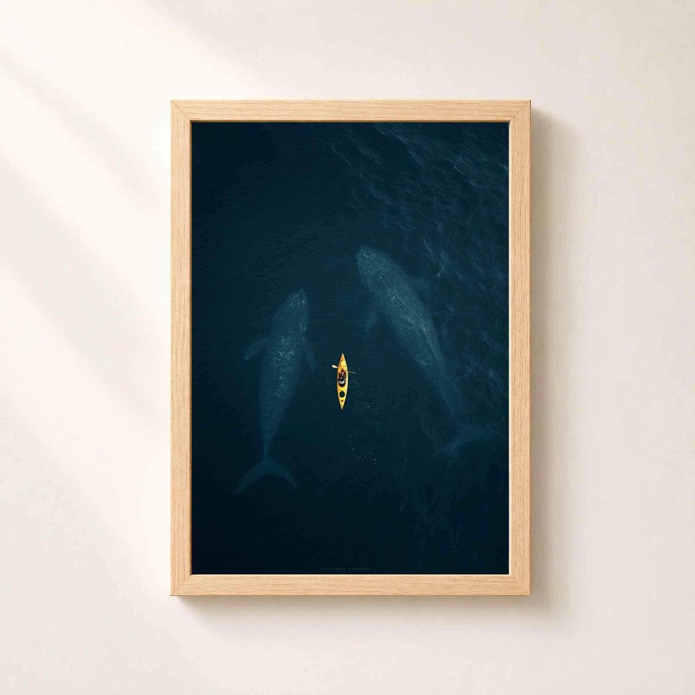 Whales and Kayak Aerial Ocean Art Print