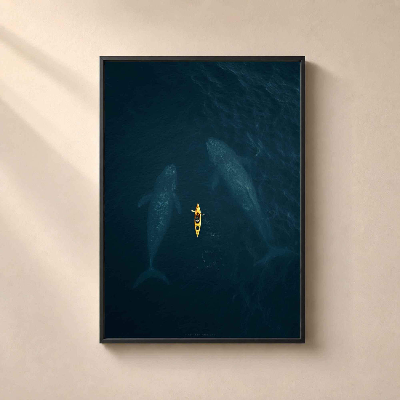 Whales and Kayak Aerial Ocean Art Print