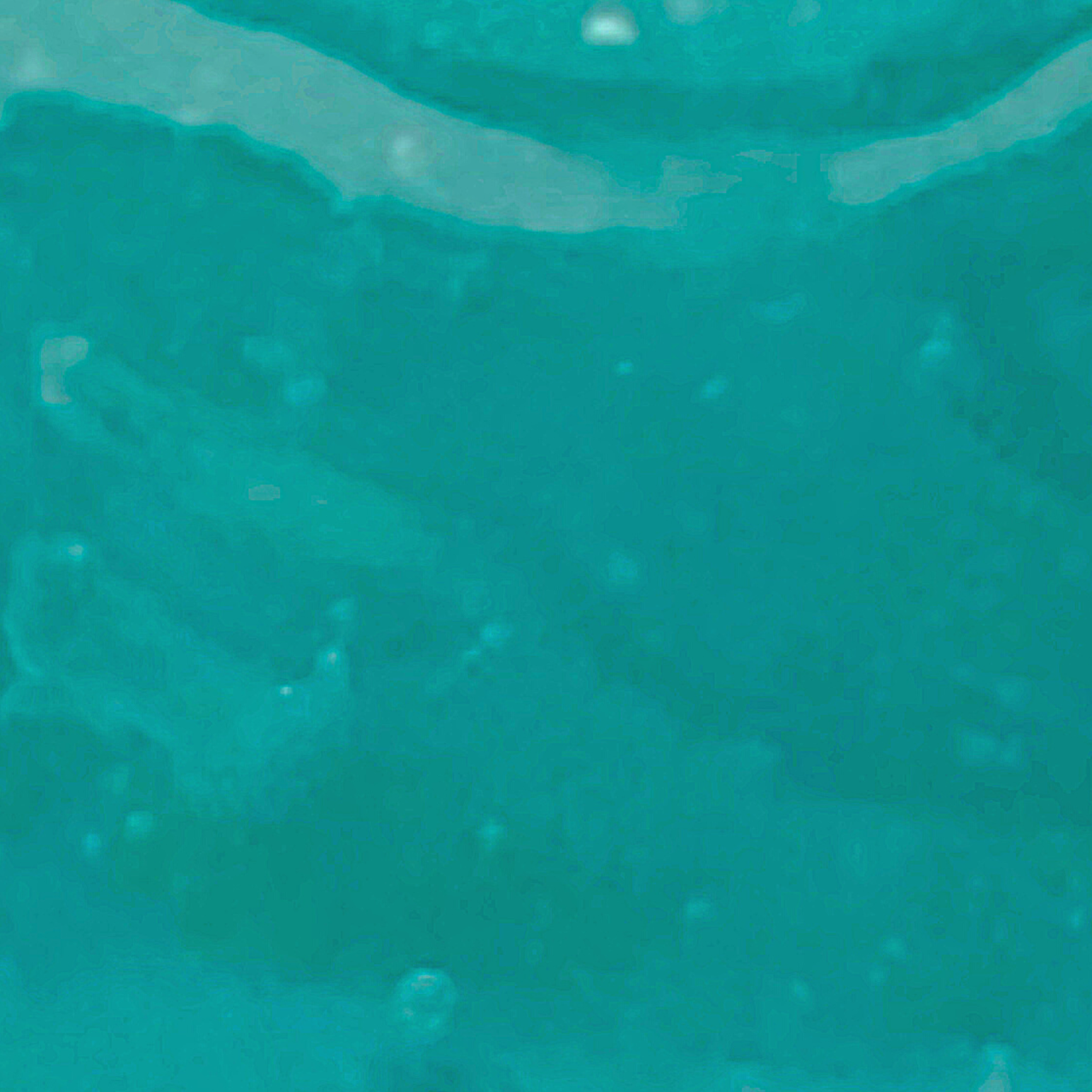 Laguna Herbals Ocean Jelly Face Mask